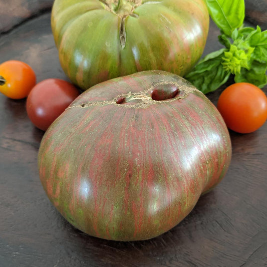Berkeley Tie Die Tomato
