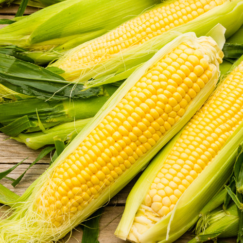 Incredible sweet corn