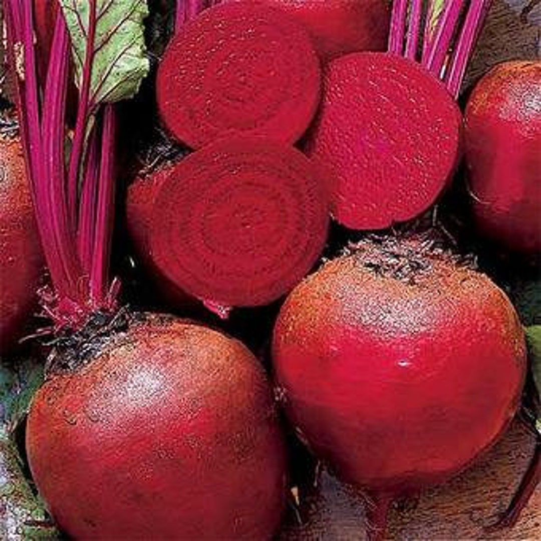 Green Top Bunching Beets