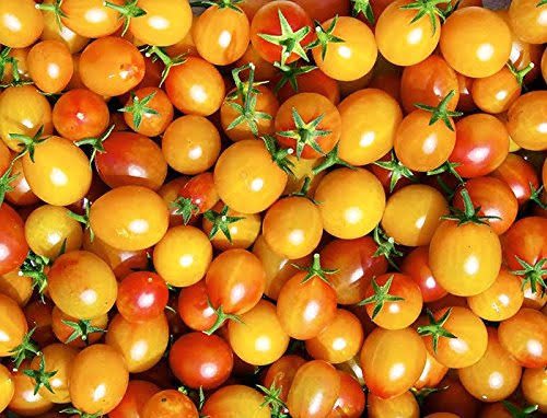 Bi-color Heirloom Cherry Tomato