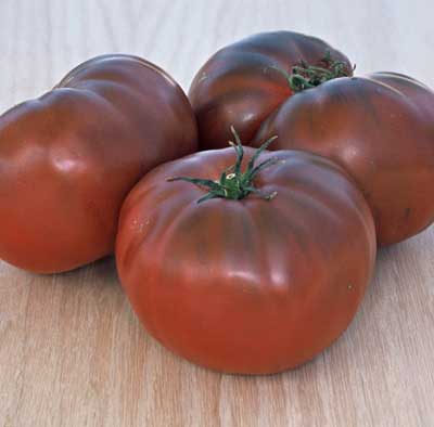Black brandywine tomato