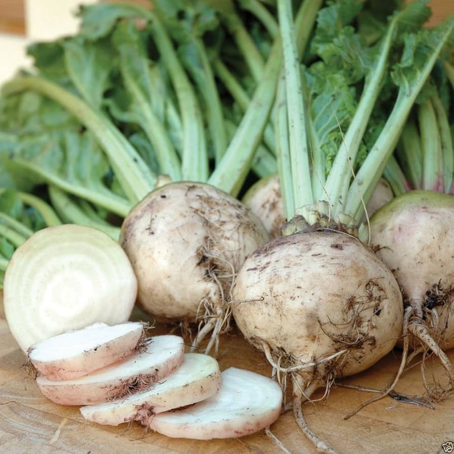 White Albino Heirloom Beets