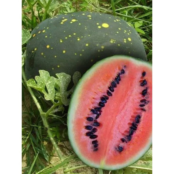 Red moon and stars watermelon