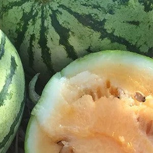 Clay county watermelon