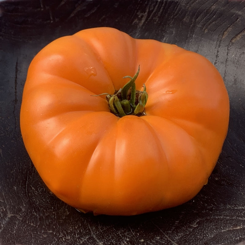 Goldie giant tomato