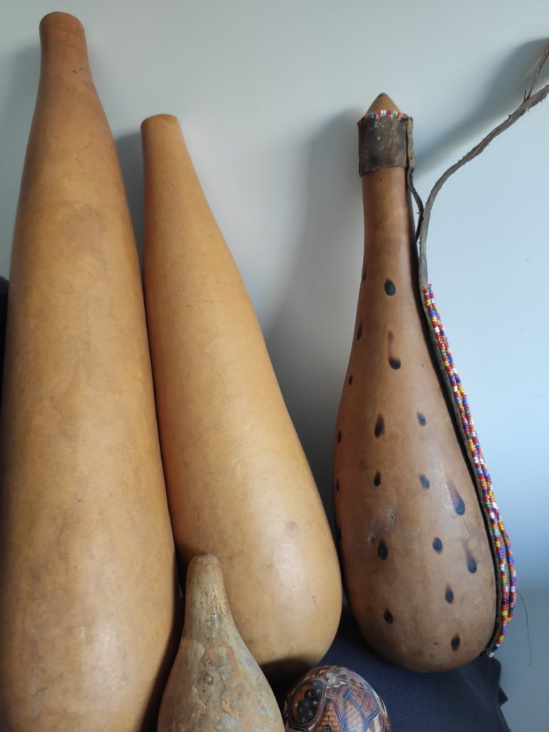 Calabash gourd seeds