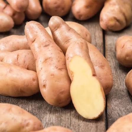 Rose rose Finn apple