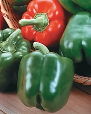 King Arthur bell pepper