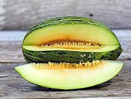 Piel de Sapo Heirloom Melon