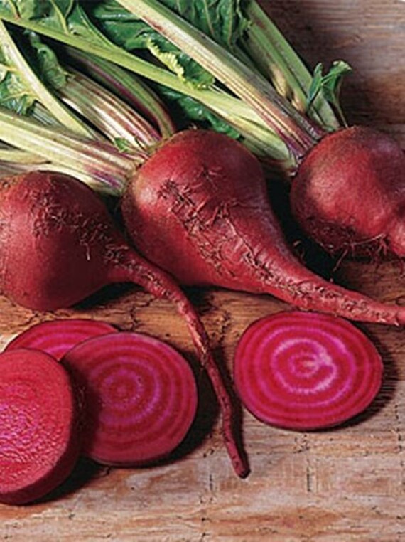 Lutz Beets