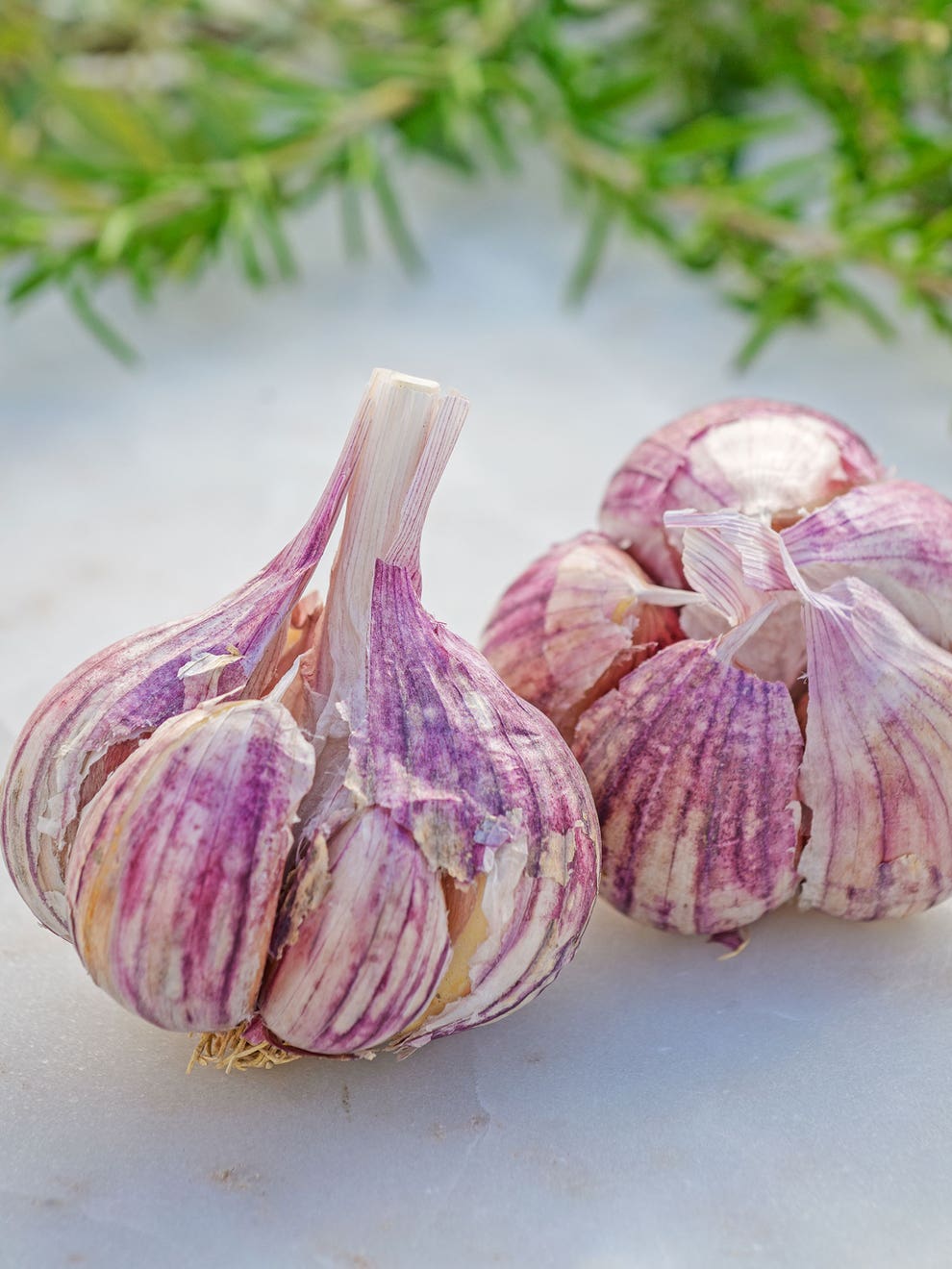 Thai purple garlic