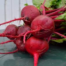 Crosby's egyptian beet