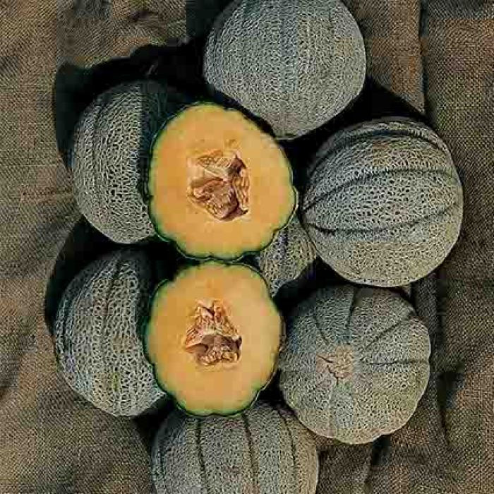 Hearts of gold melon
