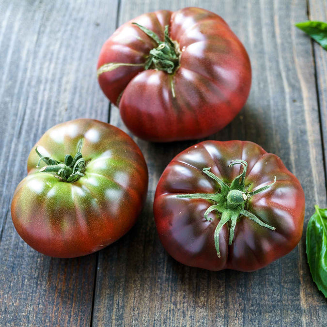 Black brandywine tomato