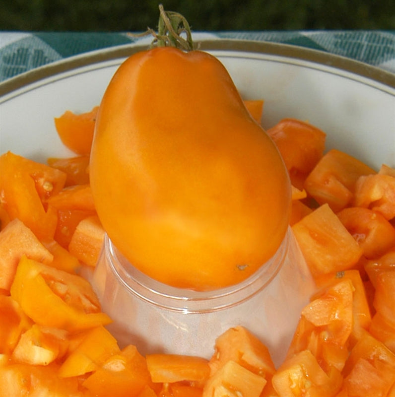 Orange roma tomato