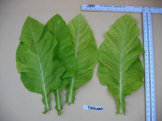 Thailand Tobacco