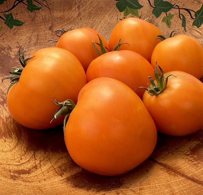 Orange Texas strawberry tomato
