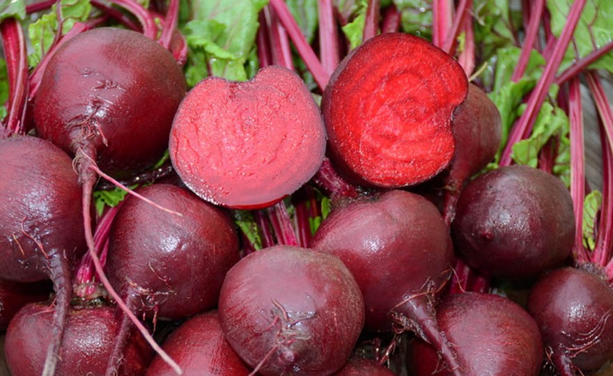 Lutz Beets