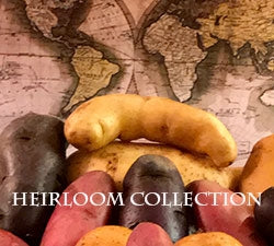 Heirloom collection