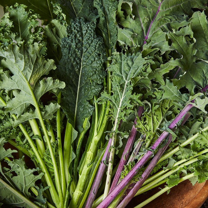 Garden blend kale