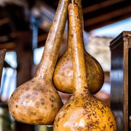 Dipper gourds