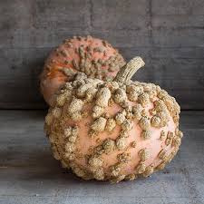 Peanut squash