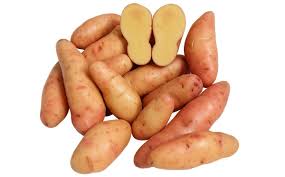 Rose rose Finn apple