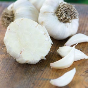 California early garlic