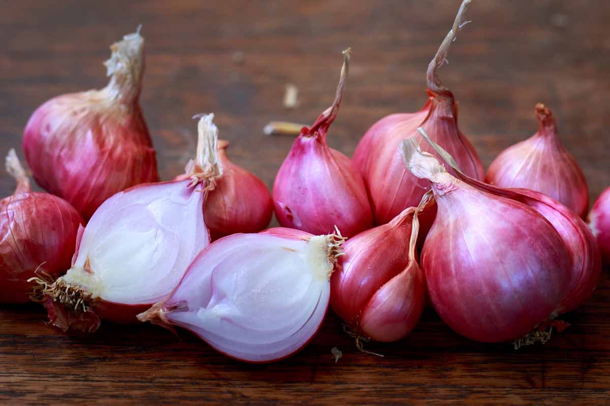 French red shallots