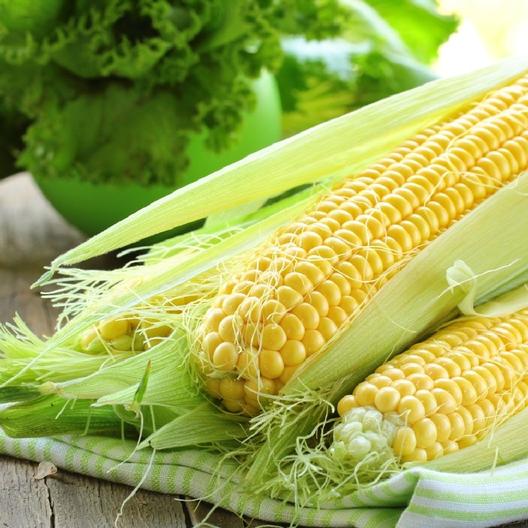 Jubilee sweet corn