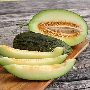 Piel de Sapo Heirloom Melon
