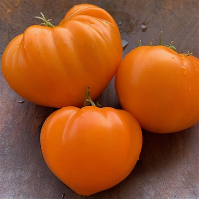 Orange Texas strawberry tomato