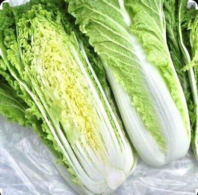 Michihili Chinese Cabbage