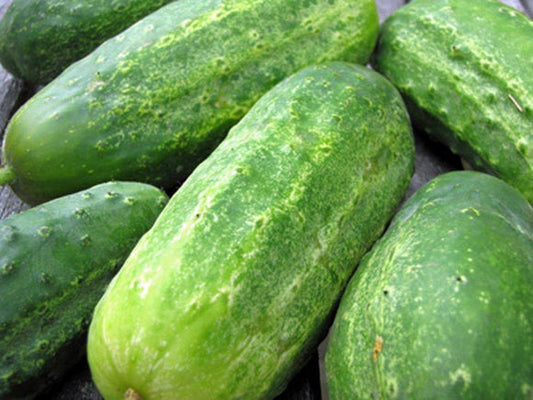 Homemade pickles cucumber seeds