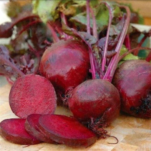 Boltardy beet