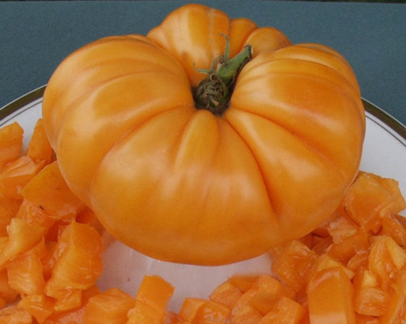 Amana orange tomato