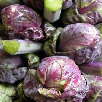 Red Bull Brussel Sprouts