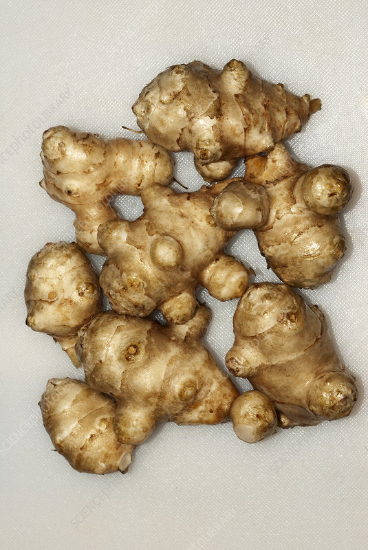 Jerusalem artichoke