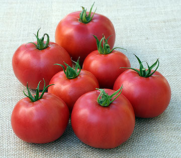 Eva purple ball tomato