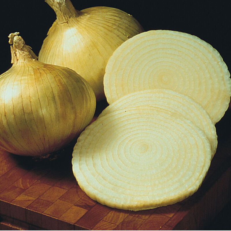 Vadalia sweet onion