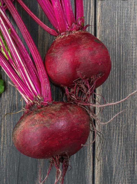 Crosby's egyptian beet