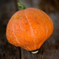Gold Nugget Winter Squash