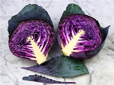Red express cabbage