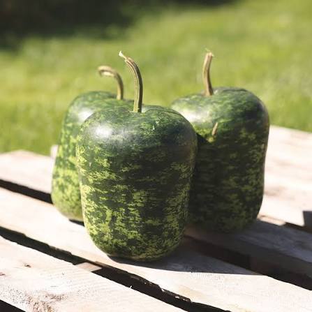 Small apple gourd