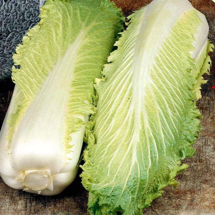 Michihili Chinese Cabbage