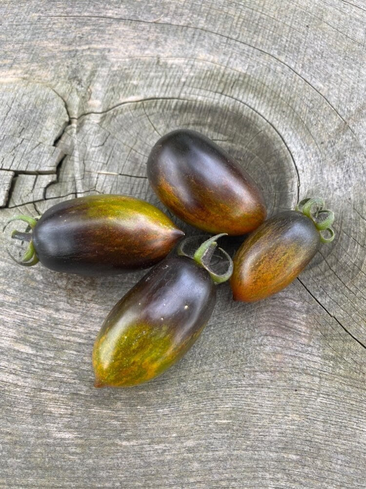 Brads atomic grape tomato