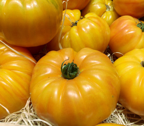 Kellogs breakfast tomato