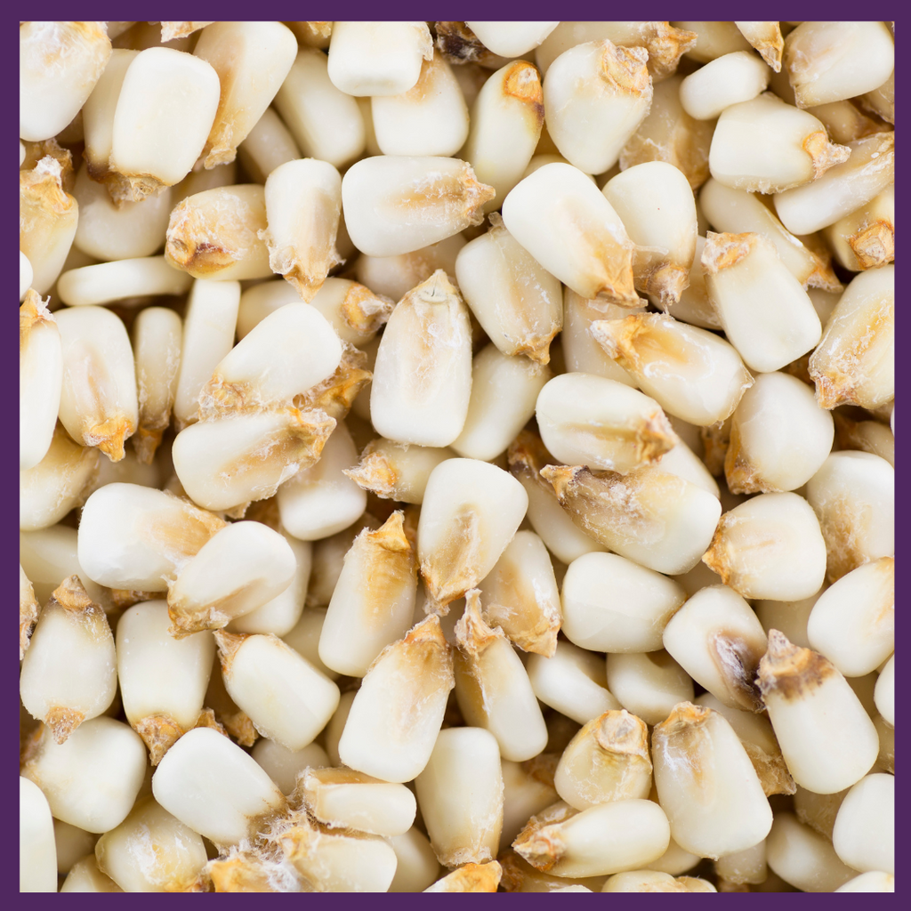 Peruvian hominy corn
