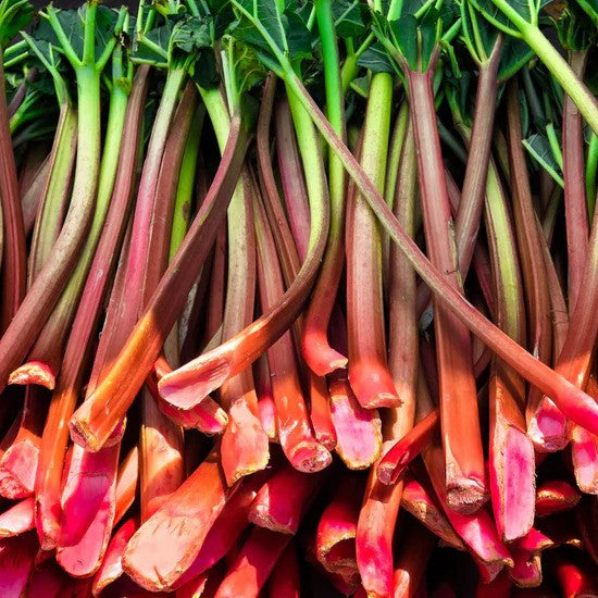 Victoria rhubarb