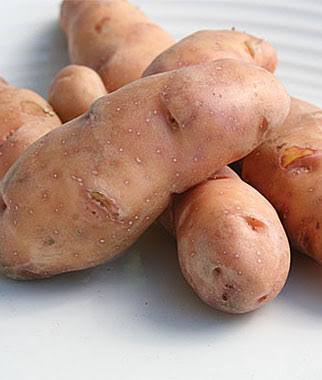 Rose rose Finn apple